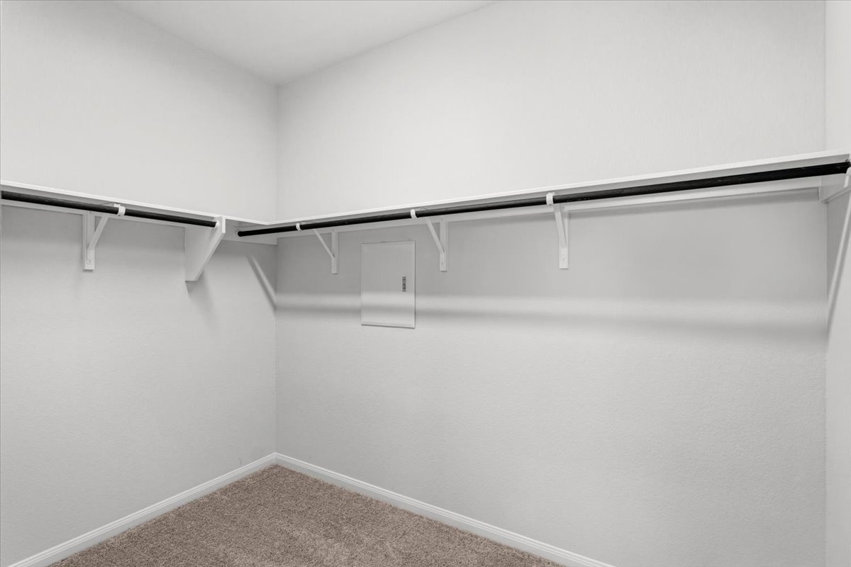 8513 Wellspring Loop Round Rock, TX 78665 - Photo 28 of 40 Walk in closet featuring light carpet