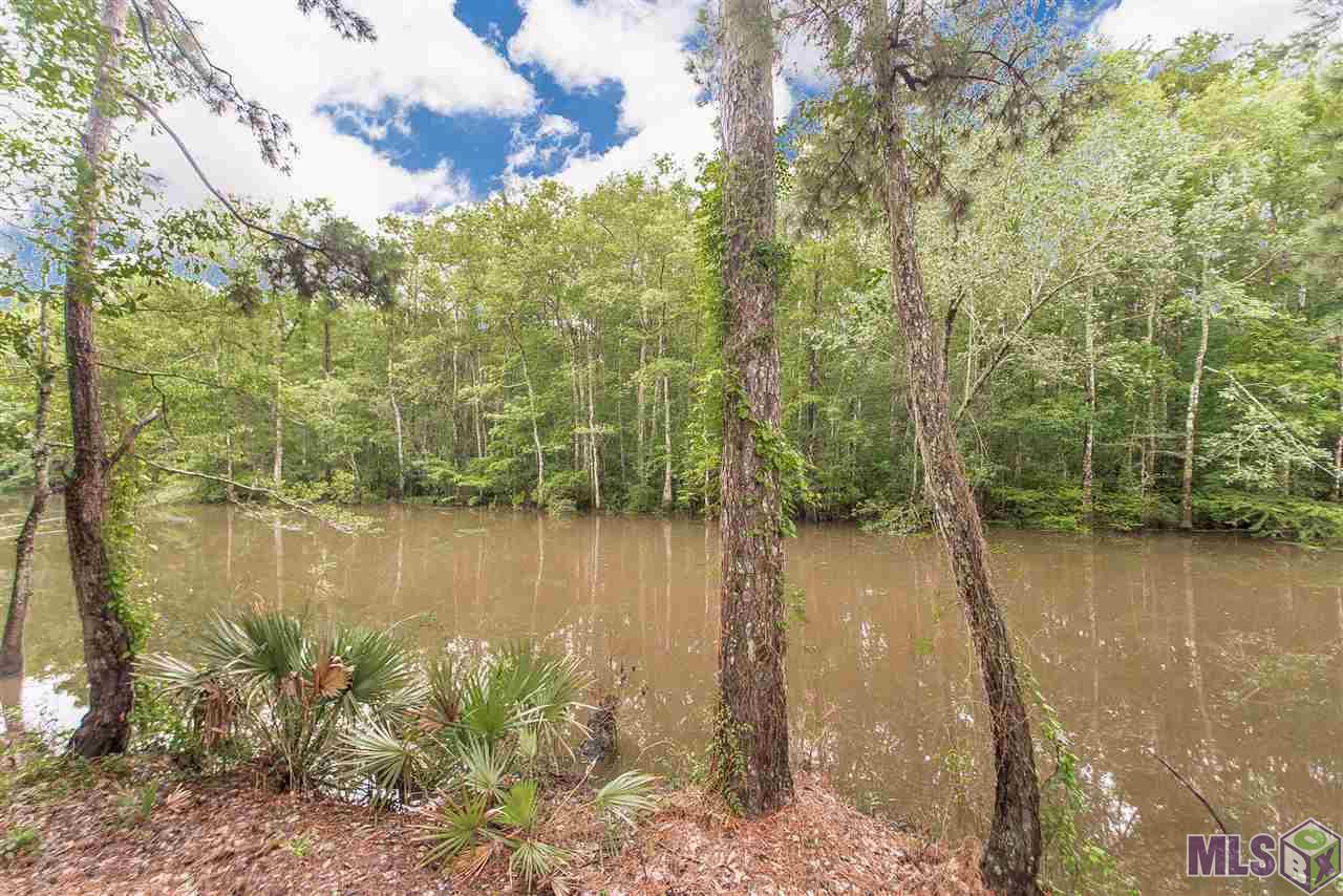 28320 Marie Hutchinson Road Springfield, LA 70462 - Photo 7 of 21