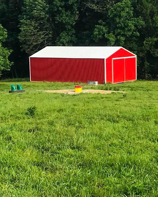 2229 Pointer Creek Road Science Hill, KY 42553 - Photo 7 of 16 Photo 7