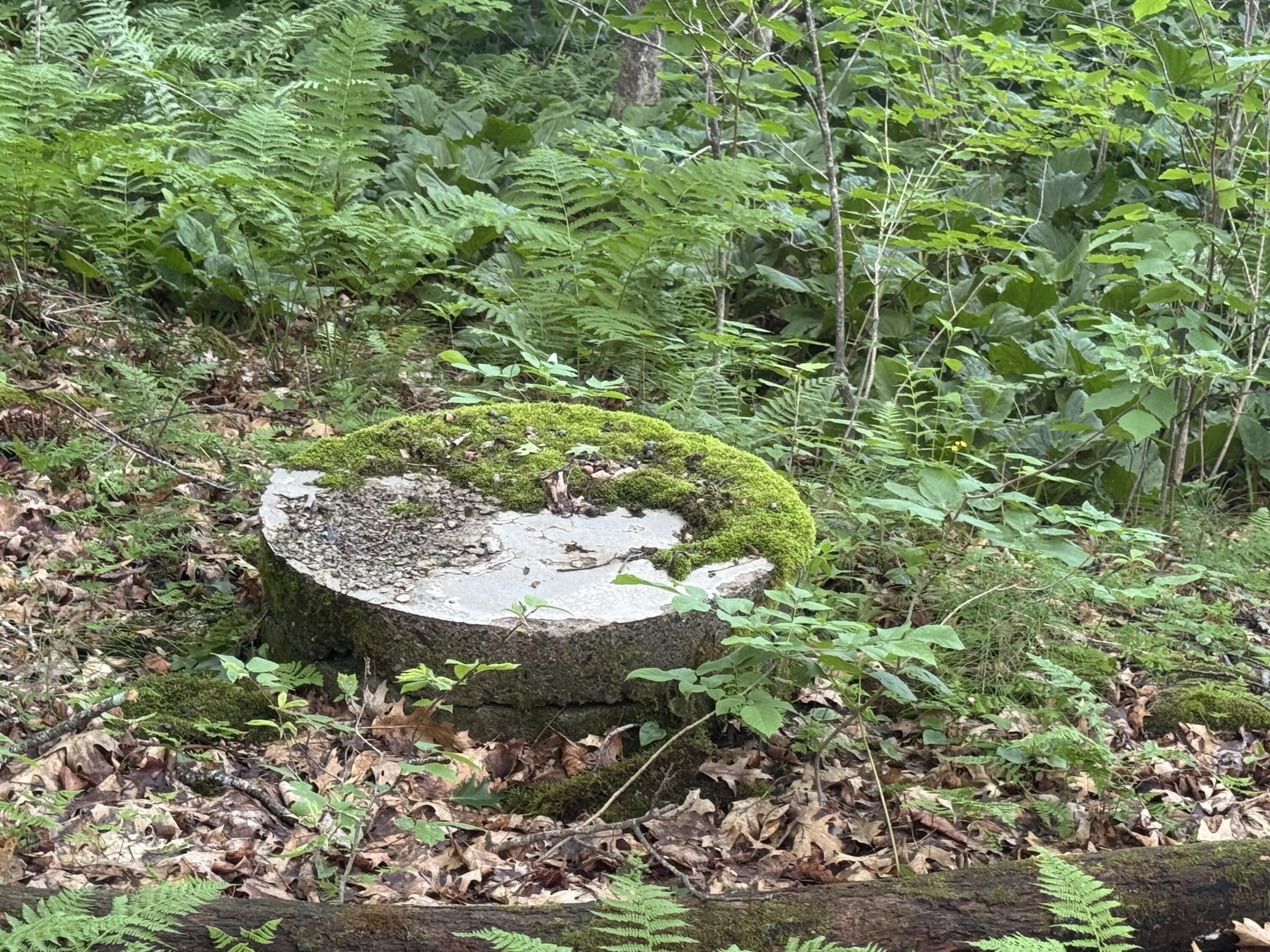 154 Highway 2 Kingman, ME 04451 - Photo 4 of 25 IMG_0124