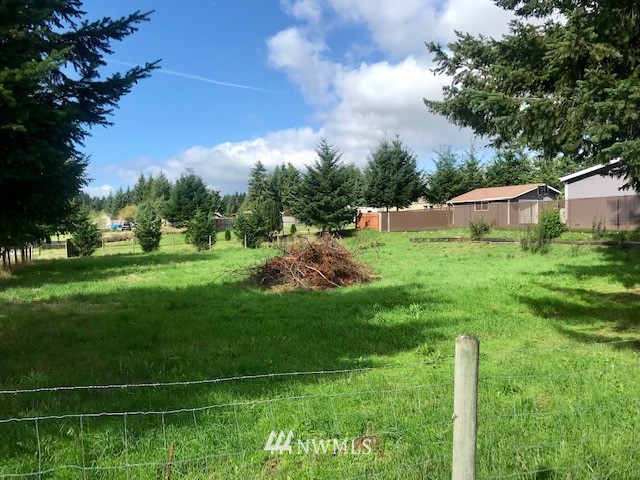 18937 Guava Street Southwest Rochester, WA 98579 - Photo 4 of 25 a backyard of a house with lots of green space and trampoline