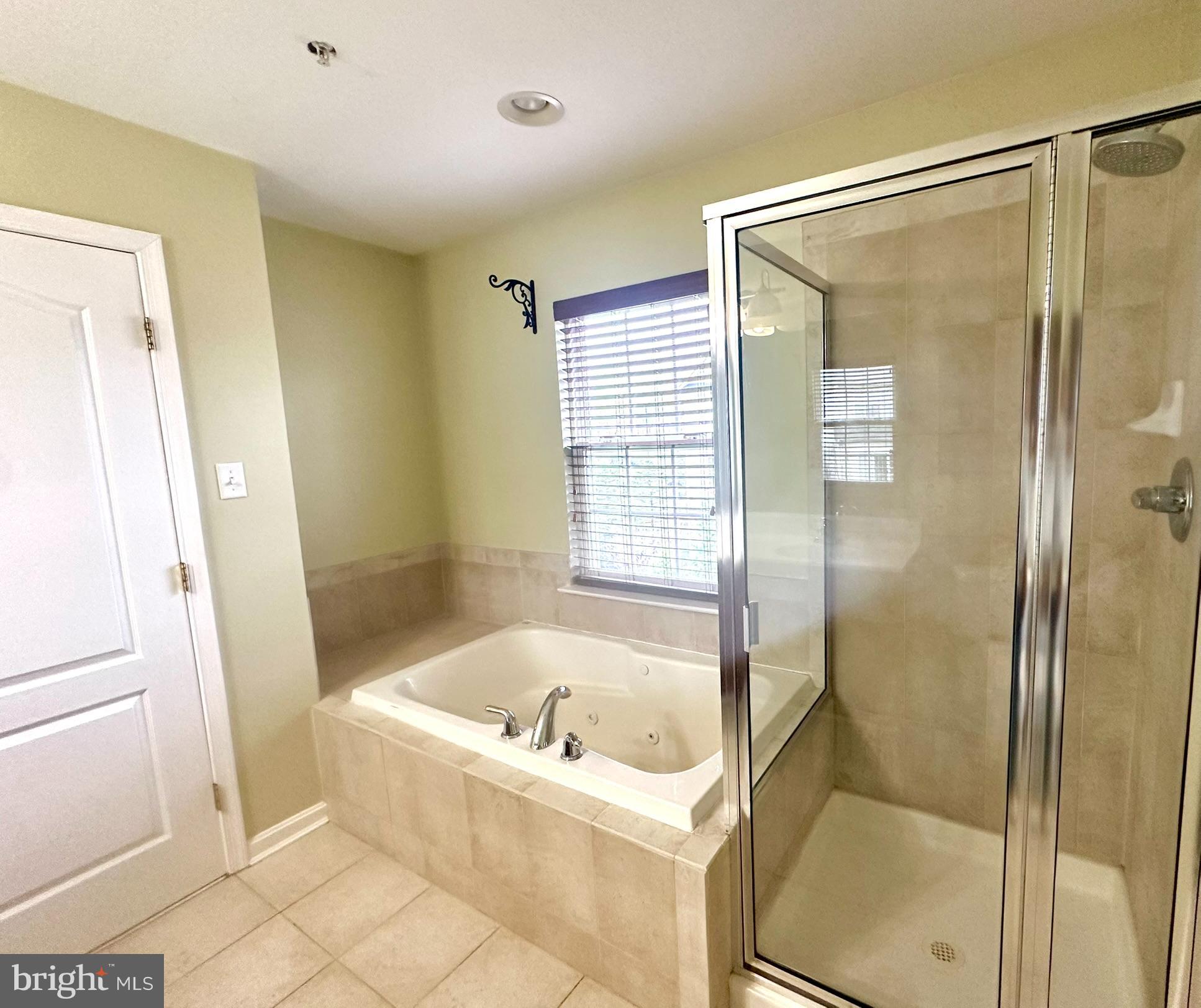 8405 Charmed Days Laurel, MD 20723 - Photo 31 of 44 Jetted Tub and Standalone Shower