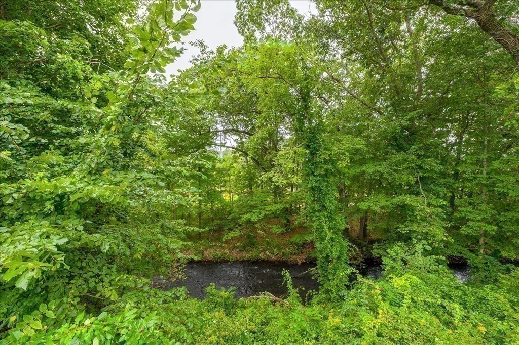 6 Nancy Drive Auburn, MA 01501 - Photo 26 of 27 a view of a forest with lots of trees