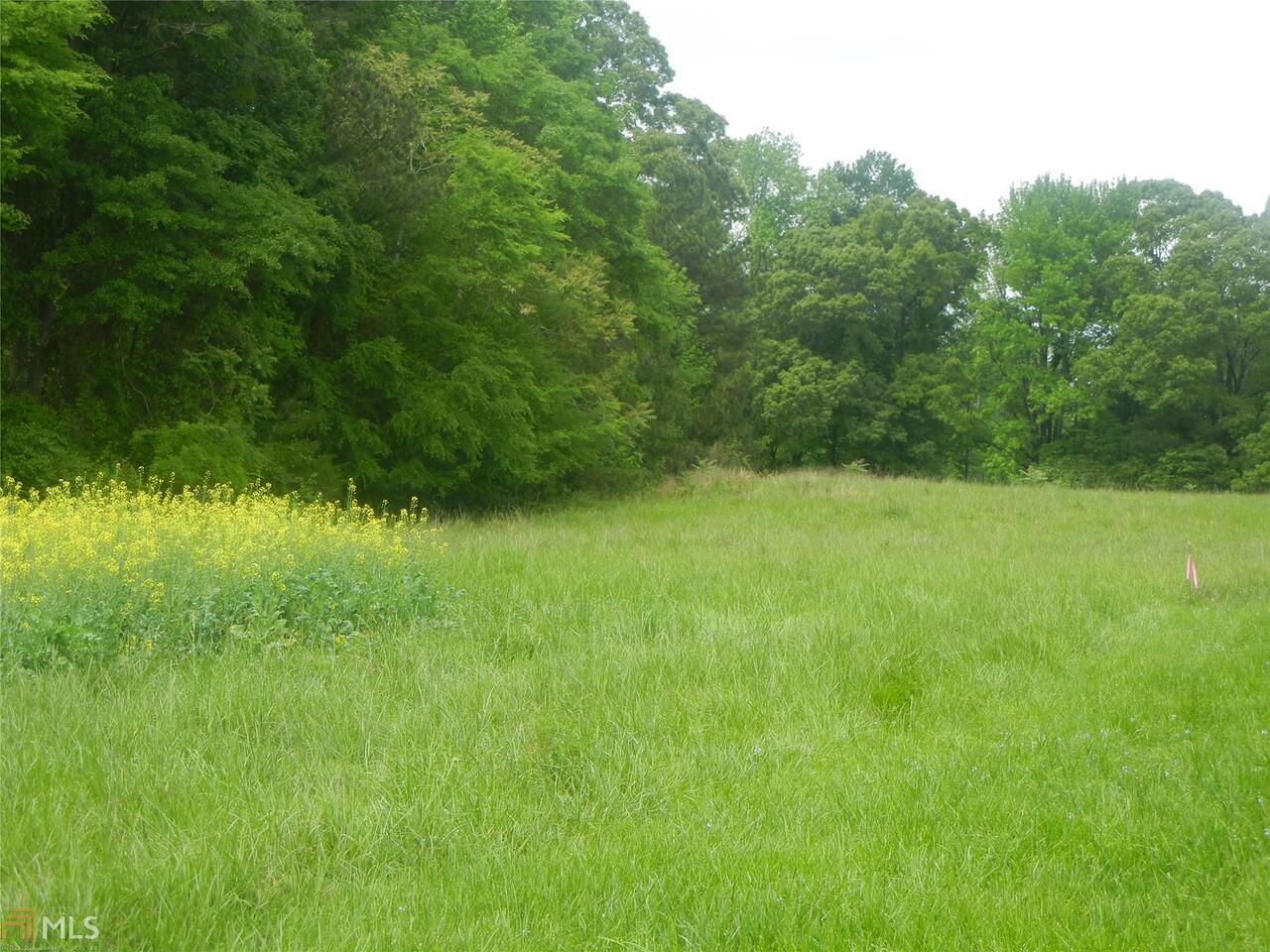 0 Purcell Road Northeast Homer, GA 30547 - Photo 1 of 1 a view of a green yard