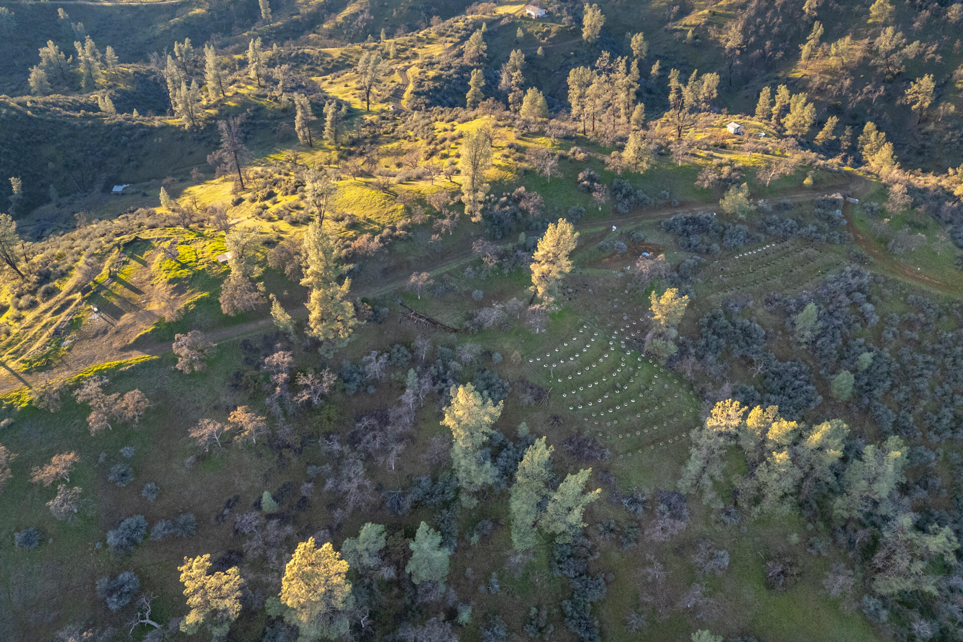 233 Tolowa Road Igo, CA 96047 - Photo 10 of 16 DJI_0028-HDR