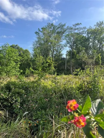 $250,000 | Harvest Lane, Kissimmee, FL 34744