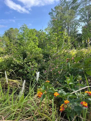 $250,000 | Harvest Lane, Kissimmee, FL 34744