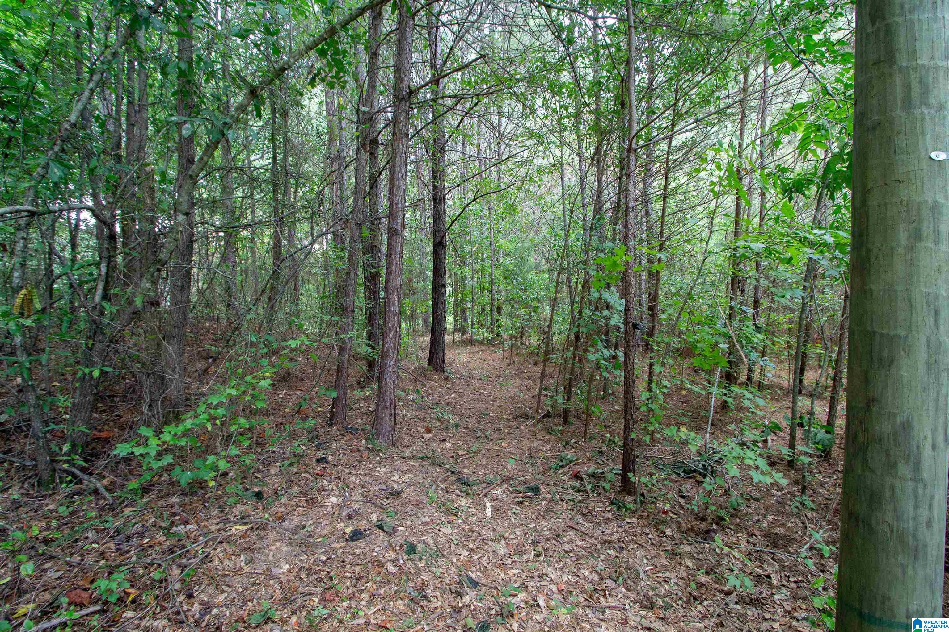 97 Joiner Road Hayden, AL 35079 - Photo 37 of 42