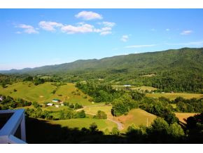 211 Henry Stout Branch Road Butler, TN 37640 - Photo 5 of 24 Photo 5