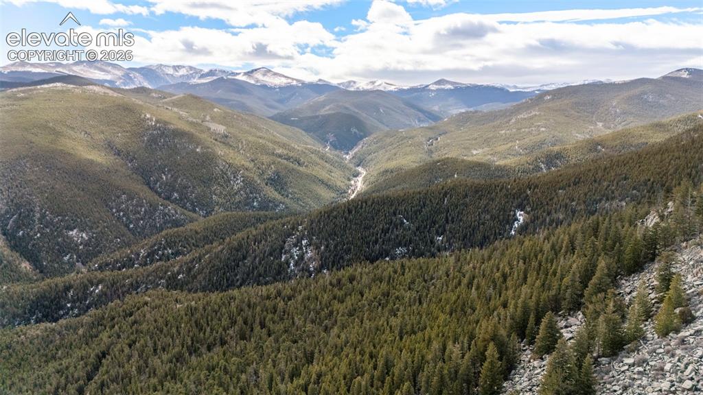 Alps Mountain Road Idaho Springs, CO 80452 - Photo 4 of 7