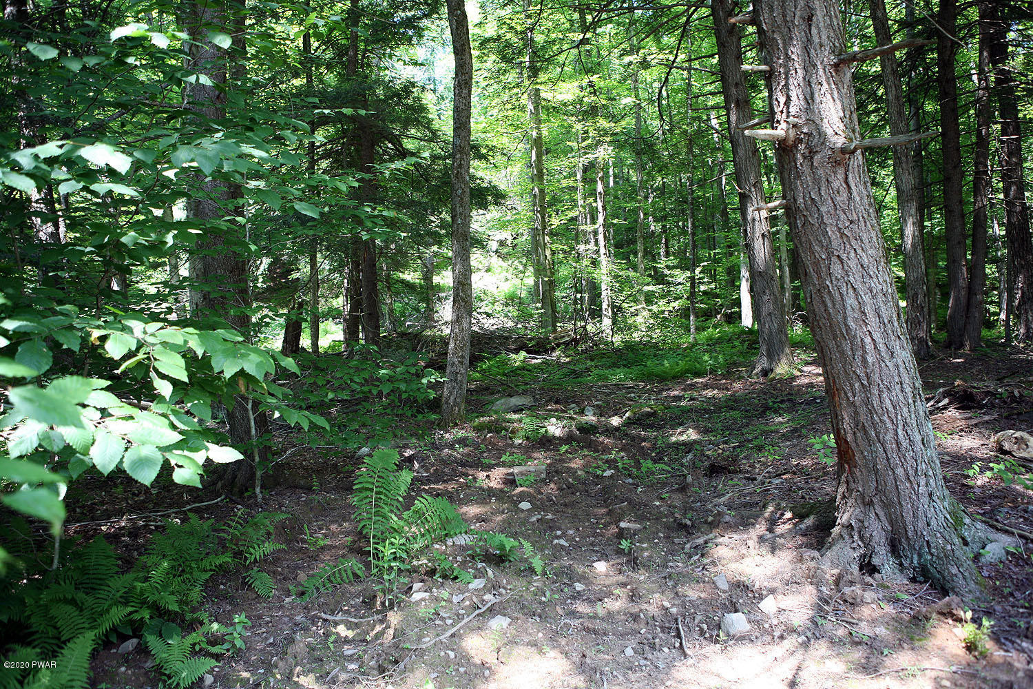 0 Braman Road Equinunk, PA 18417 - Photo 14 of 36