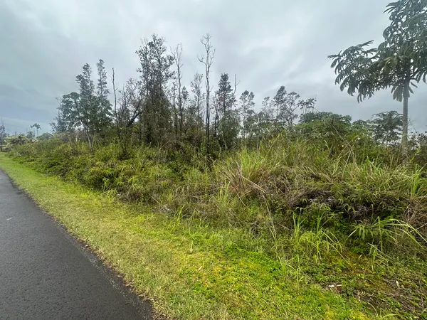 $79,000 | 10 Treefern Drive, Pahoa, HI 96778
