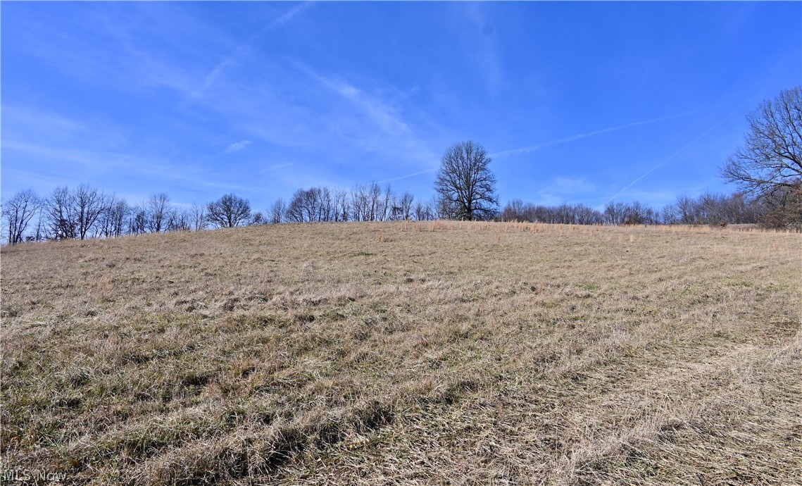 Cherry Run Road Dundee, OH 44624 - Photo 2 of 6 Gallery Image 2