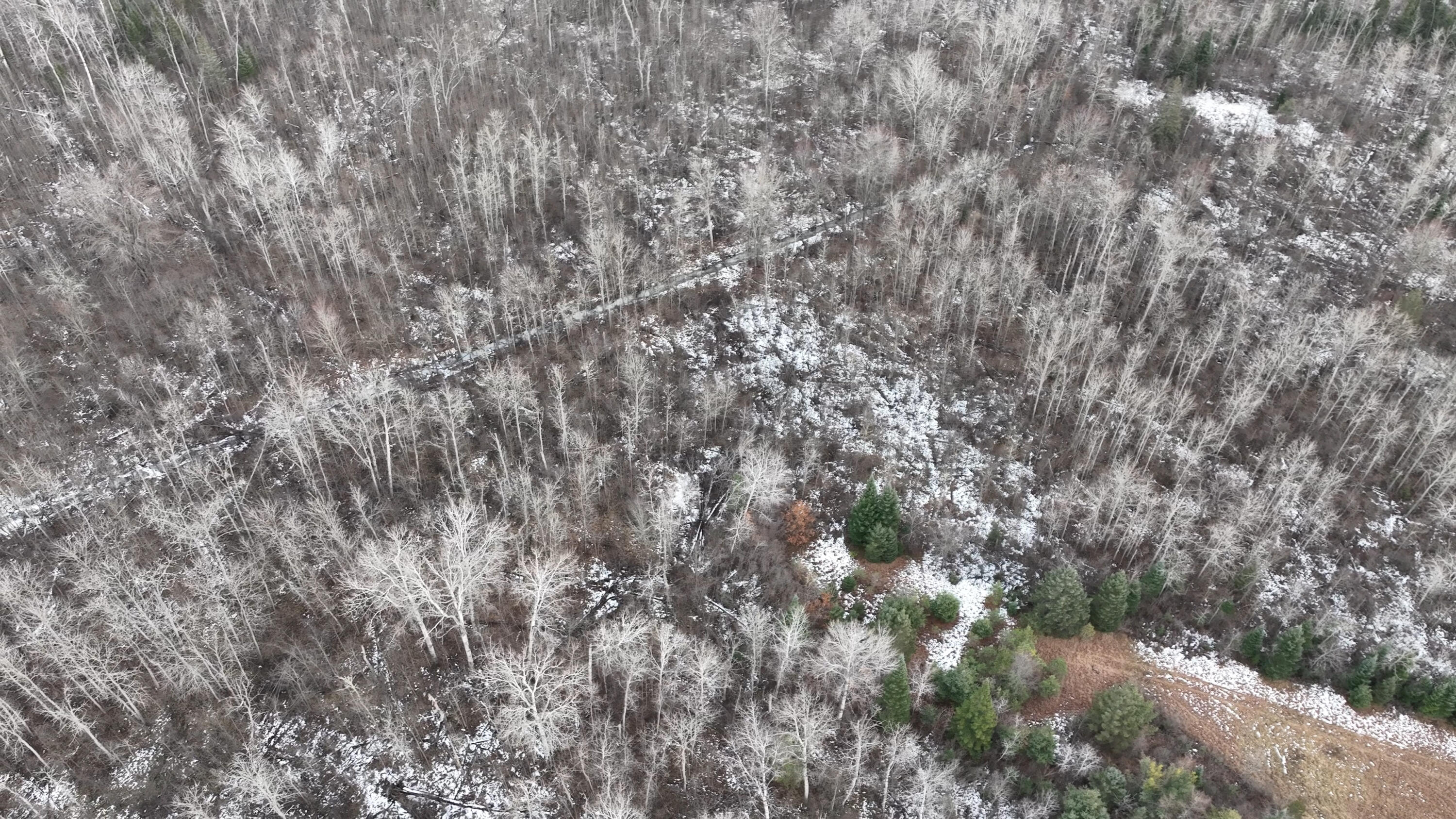 Lot 1 Funk Road Hillman, MI 49746 - Photo 15 of 25 Gallery Image 15
