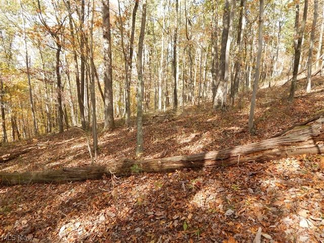 85 Mt Olivet Road Ellenboro, WV 26346 - Photo 31 of 31 Gallery Image 31