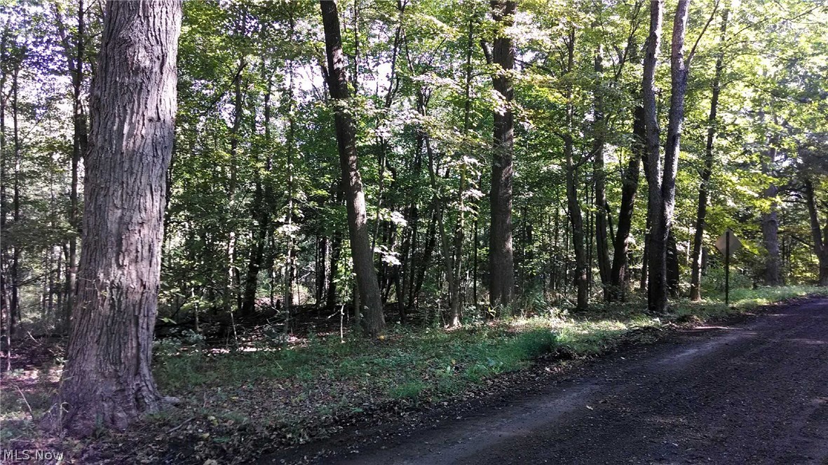 Northwest Stony Point Road Northwest Dover, OH 44622 - Photo 1 of 3 Gallery Image 1