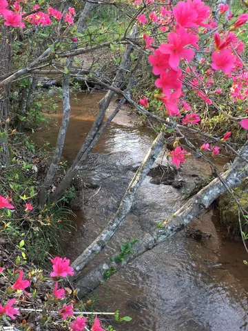 $2,200,000 | 187 Meadow Brook Lane, Pickens, SC 29671