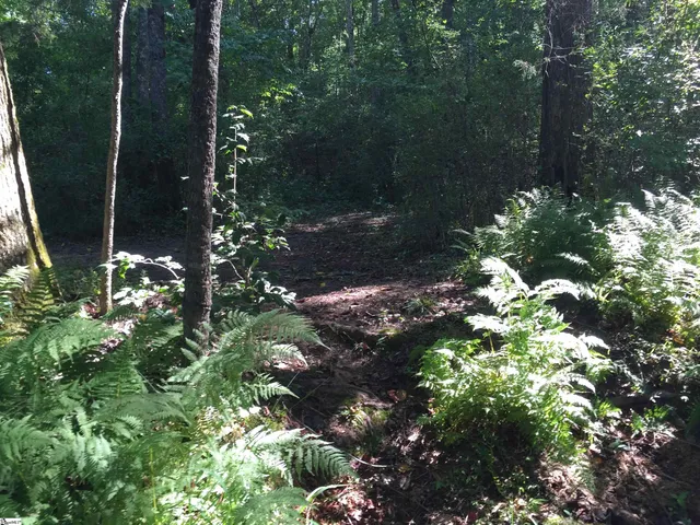 $2,200,000 | 187 Meadow Brook Lane, Pickens, SC 29671