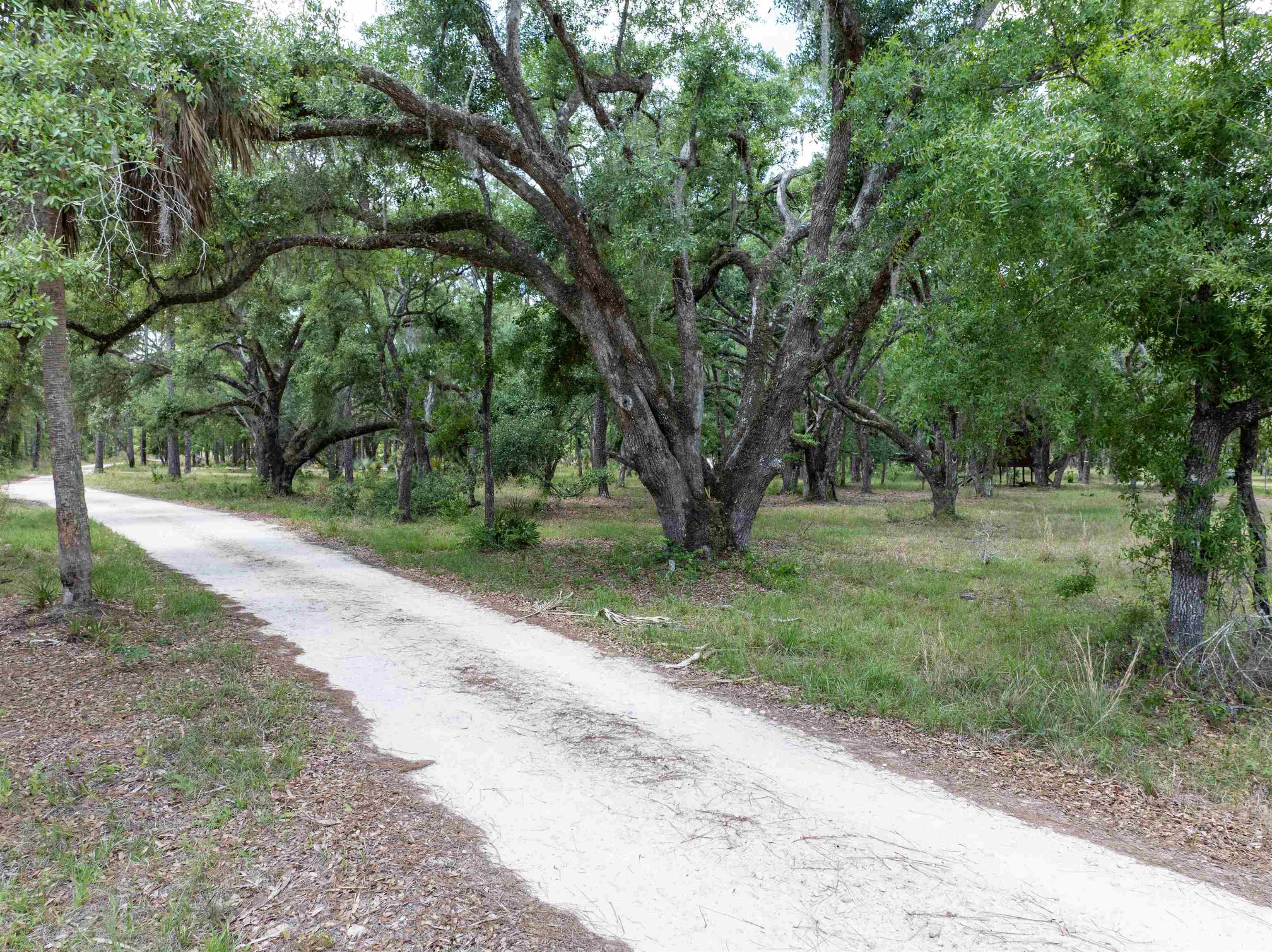 2878 West U.S 98 Perry, FL 32347 - Photo 44 of 64