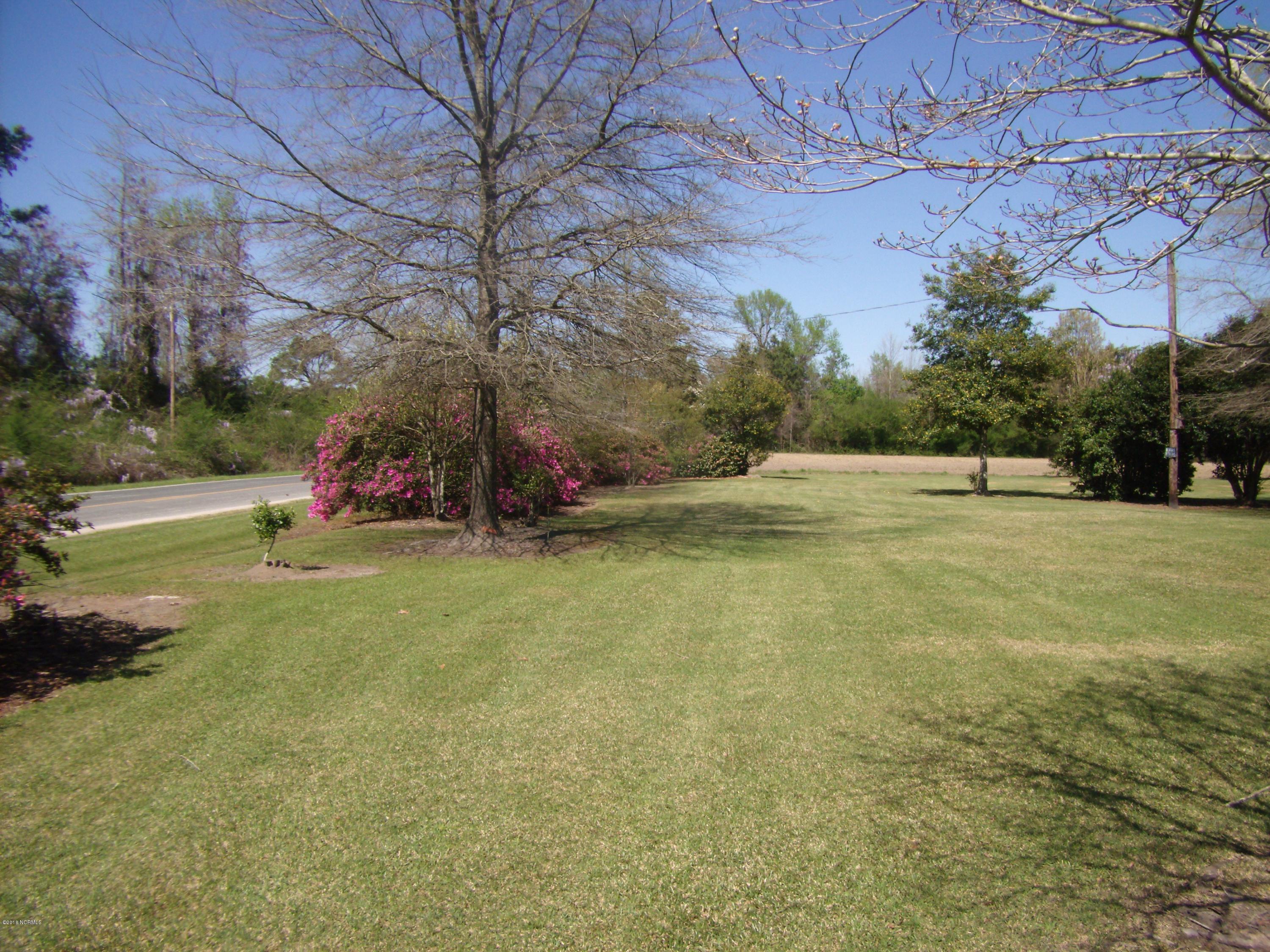 668 Kenan Loop Road Wallace, NC 28466 - Photo 54 of 59 summer front yard