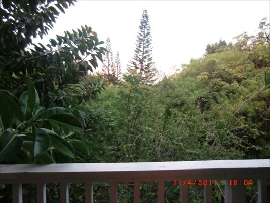 5921 Kapahi Road, Unit B Kapaa, HI 96746 - Photo 9 of 21 Gallery Image 9