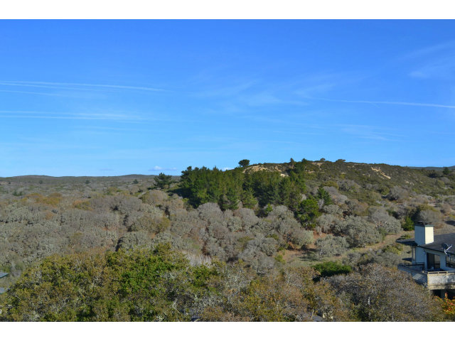 410 Pheasant Ridge Road, Unit 101 Del Rey Oaks, CA 93940 - Photo 9 of 12 Gallery Image 9