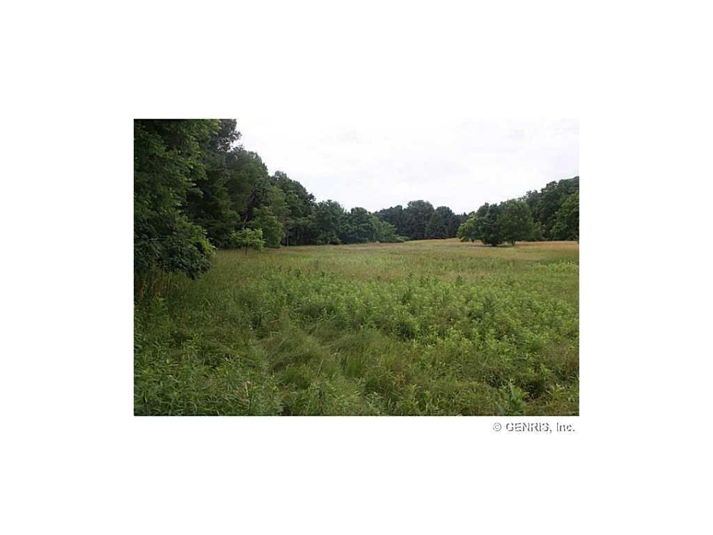 0 North Road Victor, NY 14564 - Photo 1 of 1 Gallery Image 1