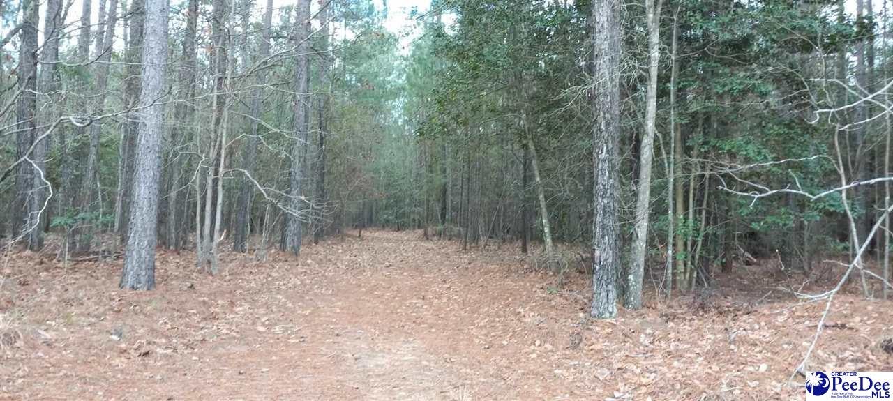 Tbd Hannah Pond Road McBee, SC 29101 - Photo 6 of 7 Gallery Image 6