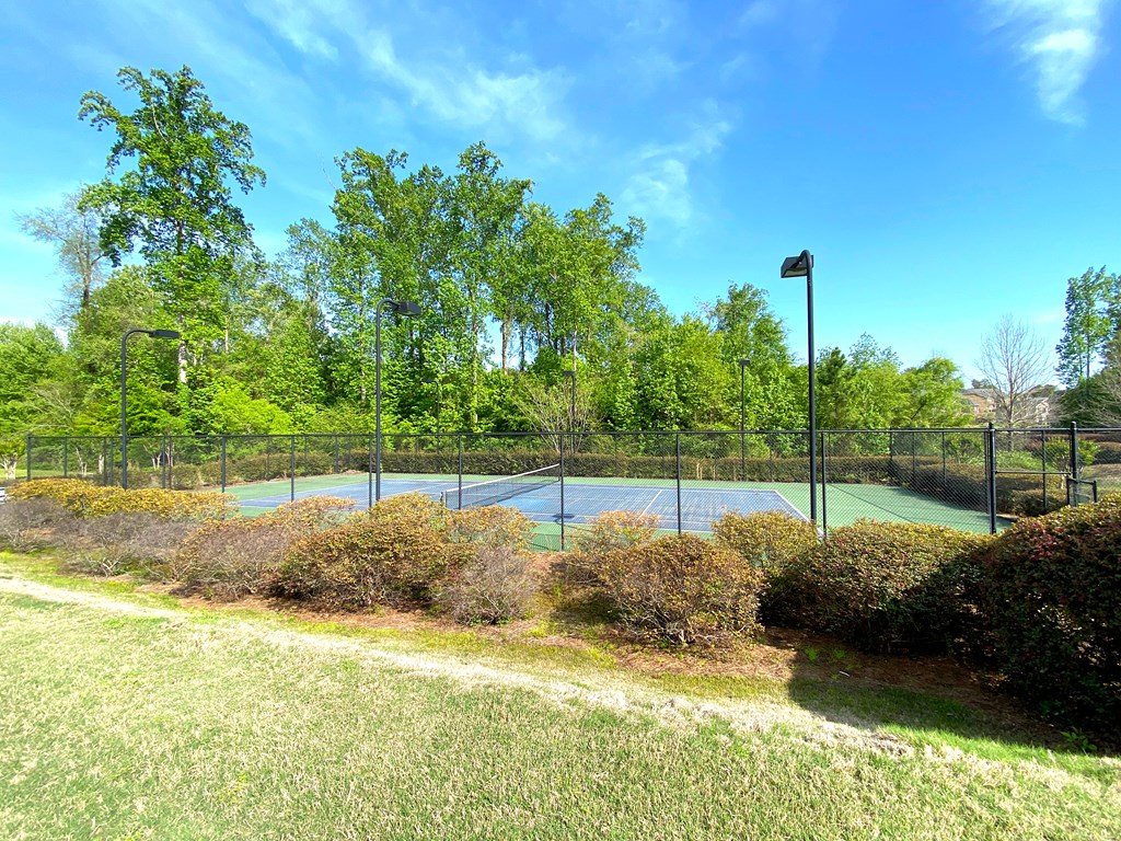 61 Riverside Landing Fort Mitchell, AL 36856 - Photo 21 of 21 Gallery Image 21