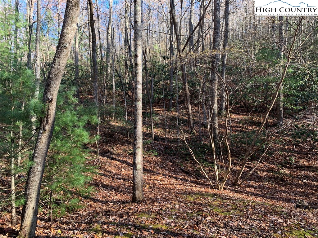 1 Dugger Firetower Road Lenoir, NC 28645 - Photo 1 of 10 a view of a plant with a tree