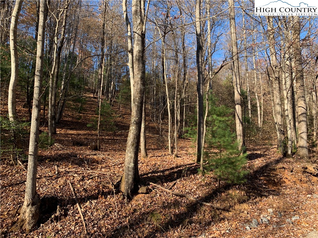 1 Dugger Firetower Road Lenoir, NC 28645 - Photo 2 of 10 a backyard of a house with lots of green space