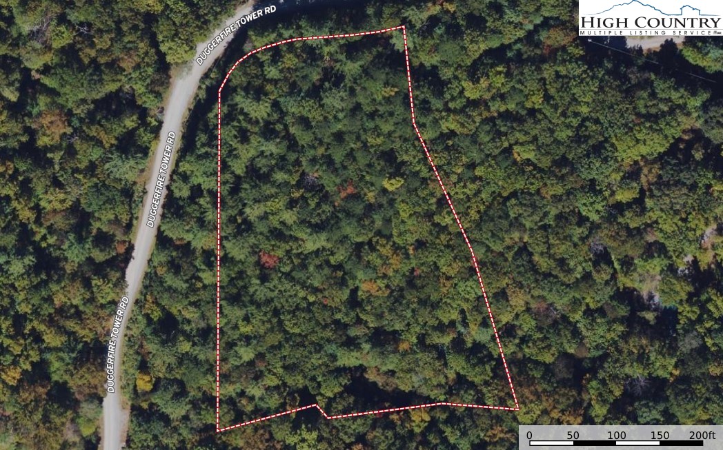 1 Dugger Firetower Road Lenoir, NC 28645 - Photo 7 of 10 a view of a forest