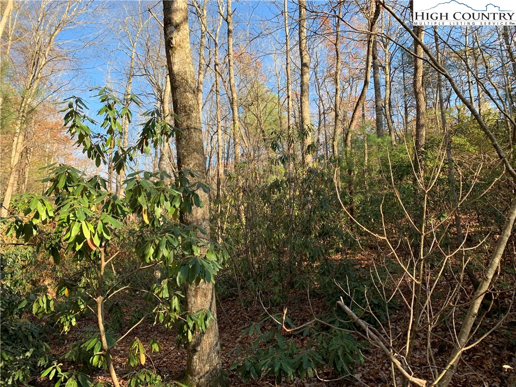 1 Dugger Firetower Road Lenoir, NC 28645 - Photo 8 of 10