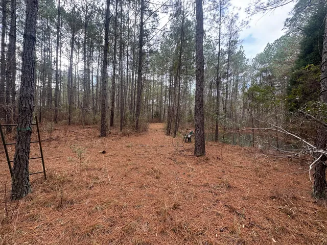 $369,000 | 0 Deerhaven Court, Huger, SC 29450