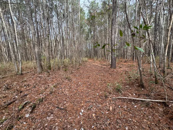 $369,000 | 0 Deerhaven Court, Huger, SC 29450