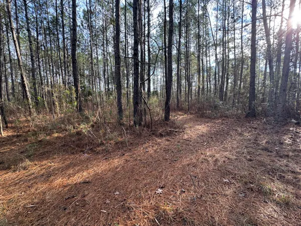$369,000 | 0 Deerhaven Court, Huger, SC 29450