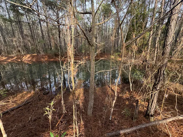 $369,000 | 0 Deerhaven Court, Huger, SC 29450
