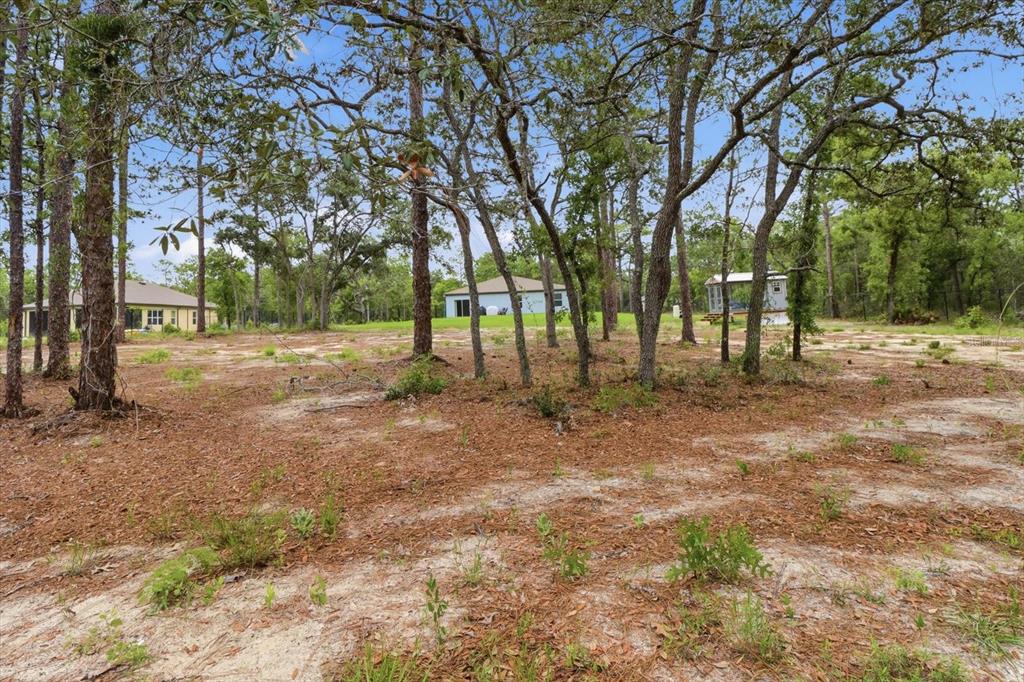 16125 Magpie Road Weeki Wachee, FL 34614 - Photo 39 of 50