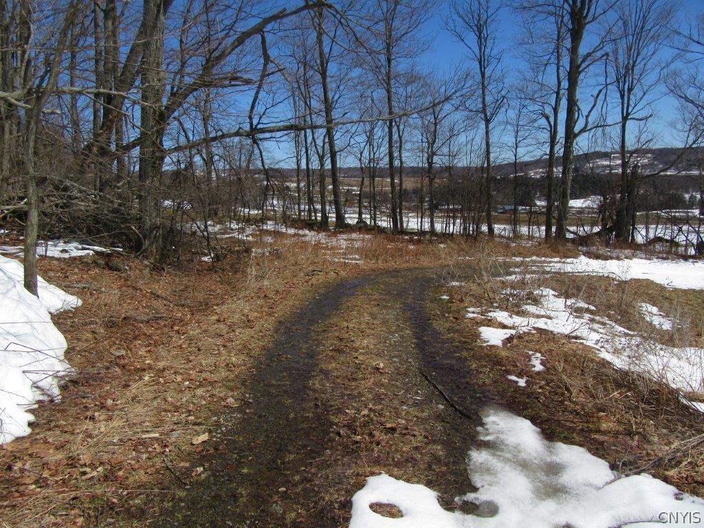 0 Larkin Road Hubbardsville, NY 13355 - Photo 22 of 35
