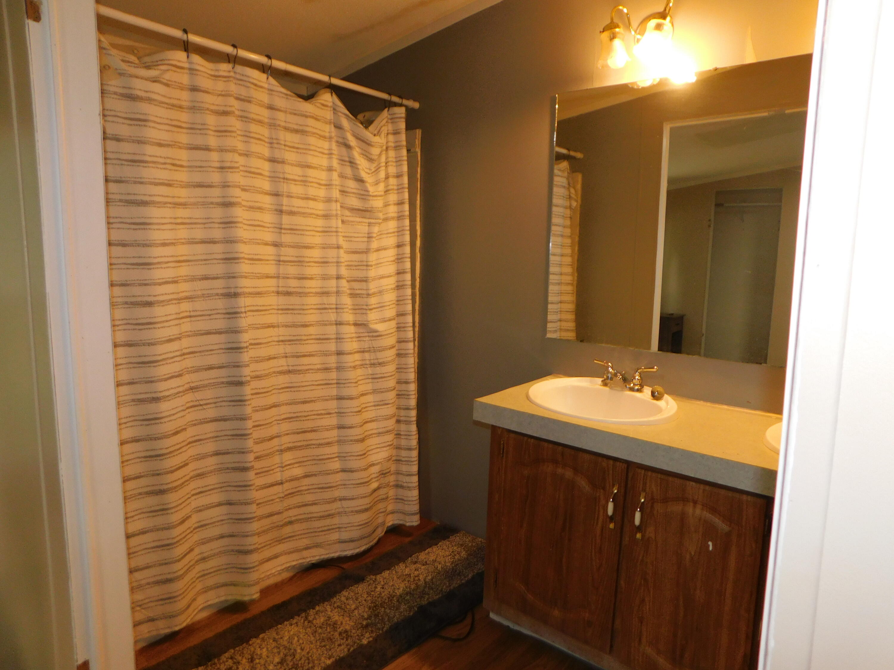 41004 80th Avenue Decatur, MI 49045 - Photo 8 of 17 primary bathroom