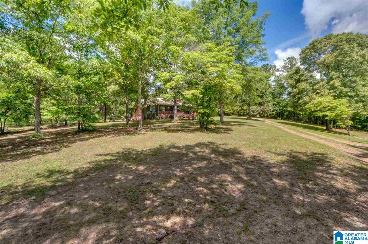 349 County Road 265 Clanton, AL 35046 - Photo 3 of 50