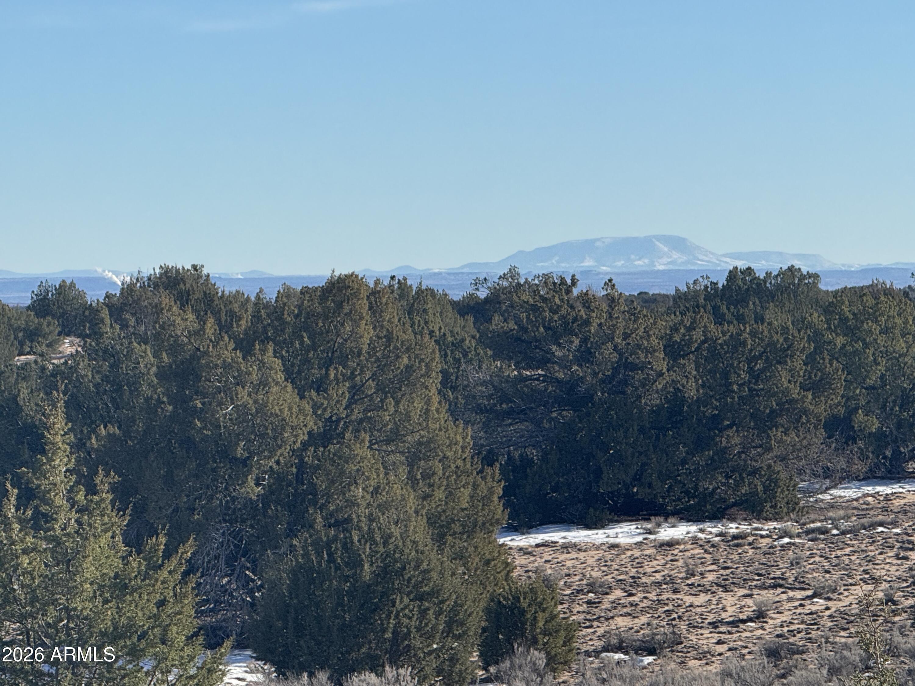 Lot 198 Red Sky Ranch, Unit 198 St. Johns, AZ 85936 - Photo 3 of 20 IMG_0371