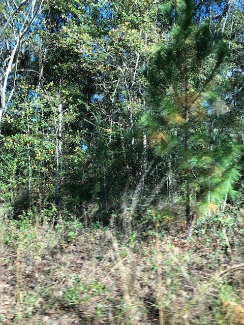 0 Highway 52 Slocomb, AL 36375 - Photo 4 of 12