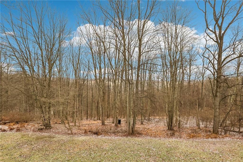 191 Castile Ridge Road Marianna, PA 15345 - Photo 42 of 50 a view of outdoor space with wooden fence