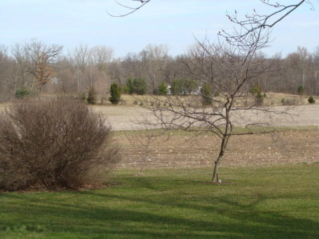 4051 Nickleplate Road Ionia, MI 48846 - Photo 11 of 11 011