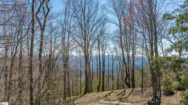 $59,000 | 16 Lost Trail Drive, Landrum, SC 29356