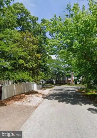 a view of a yard with plants and trees beside of it