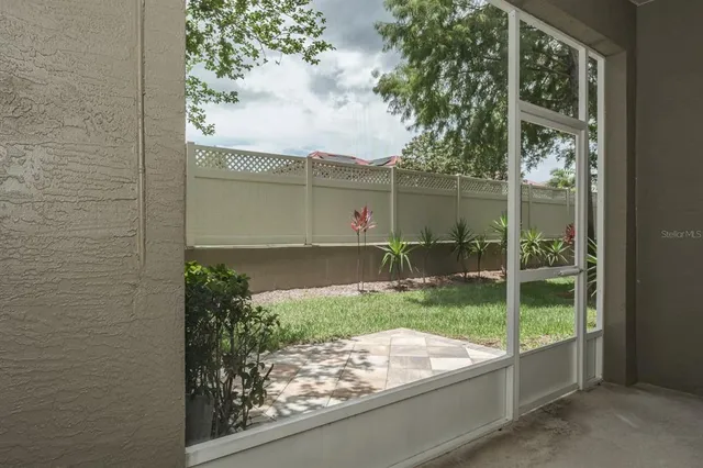 a view of backyard from window