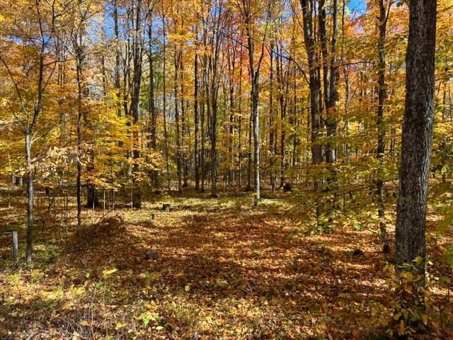 11826 Renberg Road Long Lake, WI 54542 - Photo 18 of 23 Gallery Image 18