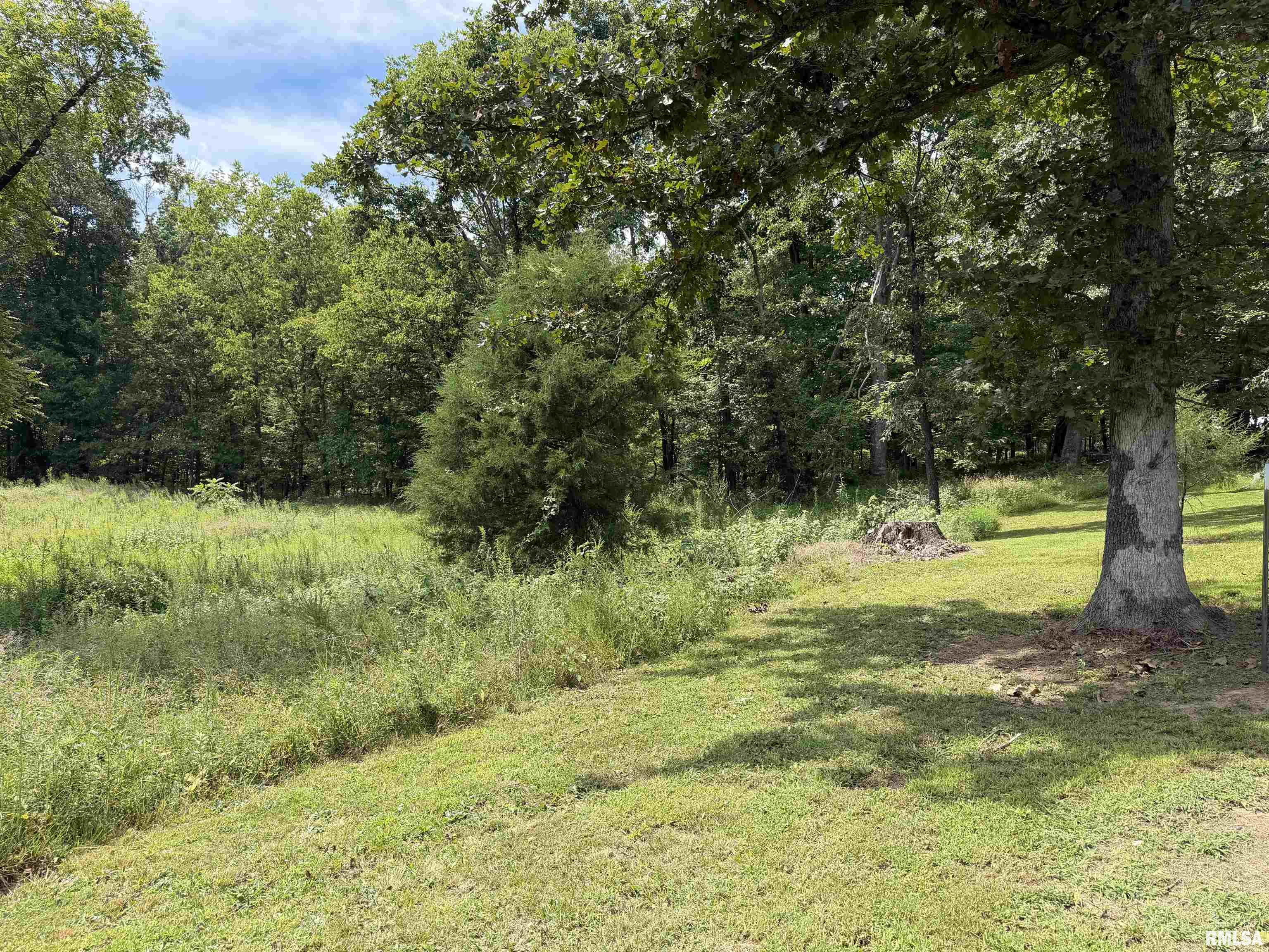 3545 Dogwalk Road Anna, IL 62906 - Photo 13 of 50 Gallery Image 13